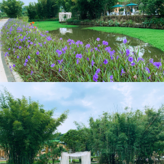 岭澜食尚 User Photo