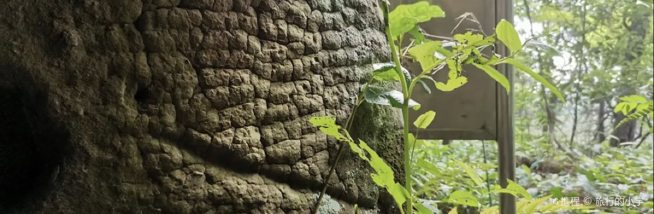 鐘大叔桂花烤羊