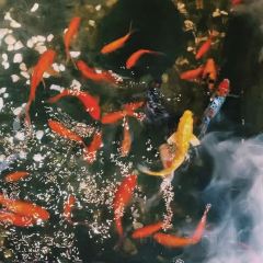 圆始空间·会客厅(万达店) User Photo