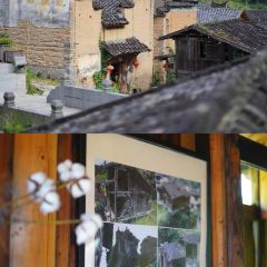 厦地咖啡屋 User Photo