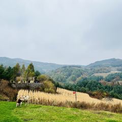 吉林松岭雪村郭家大院 User Photo