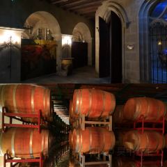 龙谕酒庄·餐饮部 User Photo