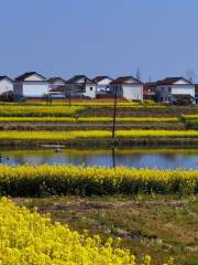 草壩嶺村