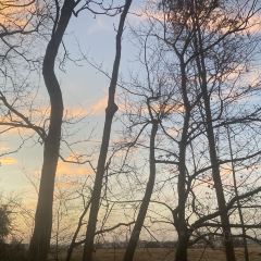 桂庭院农家乐 User Photo