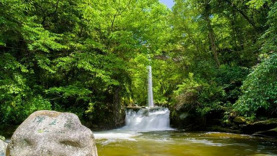 Tangjiahe Self-Driving Camping Site