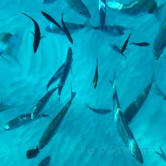 Cala Gonone User Photo