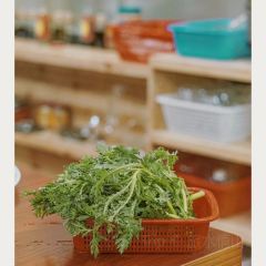 陆宣亦·黔山羊莊張用戶圖片