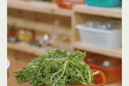 陆宣亦·黔山羊莊