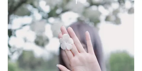 海蒂的花園