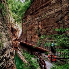 云台山小吃城 User Photo