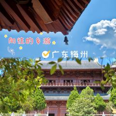 大埔小吃文化城(西环路店) User Photo