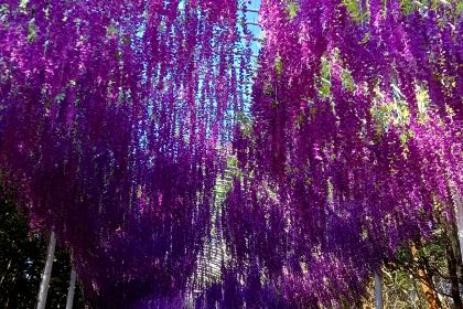 李忠正宗勐海烤鸡(三公里总店)