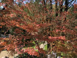 Wenzhou Jingshan Forest Park