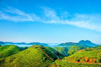 Daxianfeng·chameiren Sceneic Area