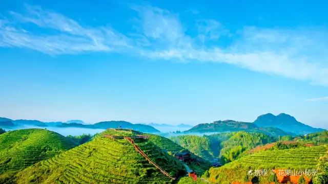 大仙峯茶美人景區