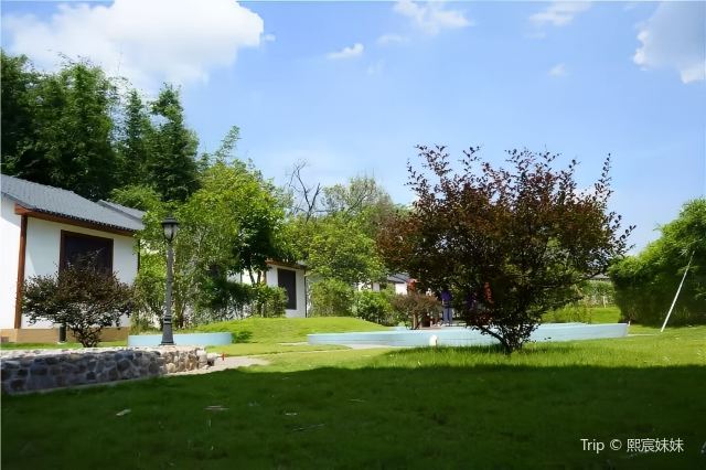 Peng's House