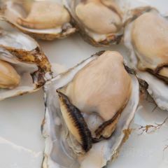鲜上鲜海鲜大排档 User Photo