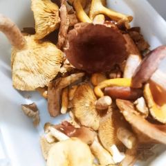 红玲肉饼野生菌火锅店 User Photo