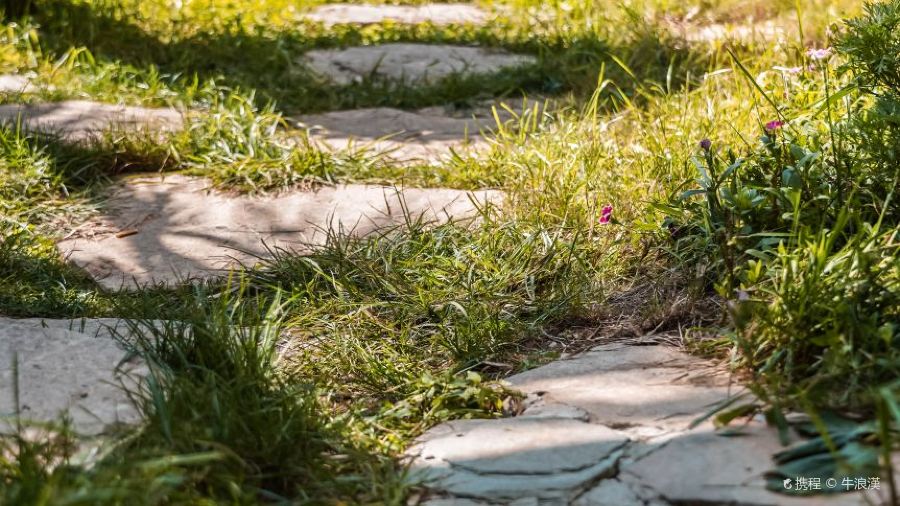 LUAN CHUAN BA DA WAN