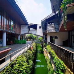 Zhijianshudian User Photo