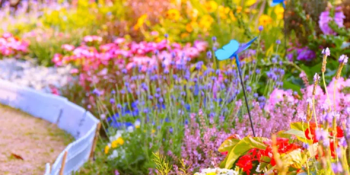 南寧市人民公園