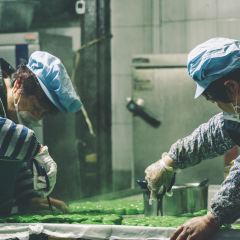 Wenkuizhai User Photo