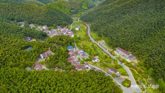 Jishan Bamboo Sea Scenic Area
