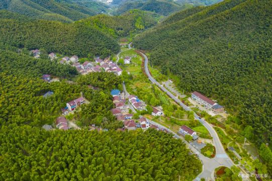Jishan Bamboo Sea Scenic Area