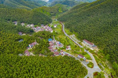 Jishan Bamboo Sea Scenic Area
