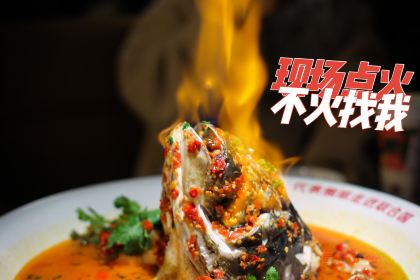 TAN ZONG DUO JIAO YU TOU