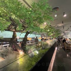 绿茶餐厅(扬州京华城店) User Photo
