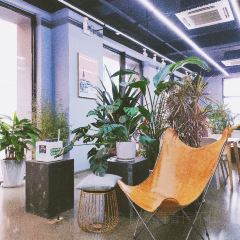 MOOI CAFE User Photo