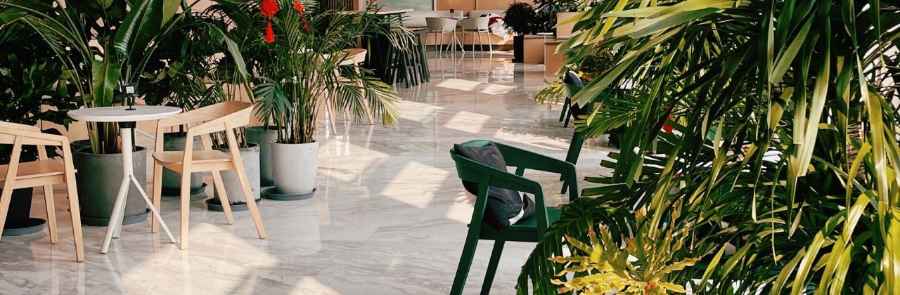 壹山树咖啡(海碧台店)