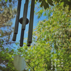 归来居 User Photo