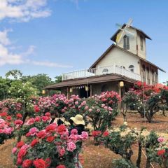 Wanhuagu Rose Manor User Photo