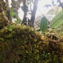 Starbucks User Photo