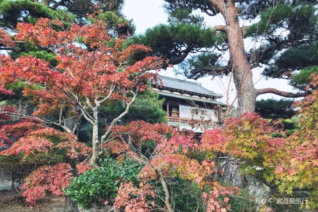 Mori Garden Attractions Hofu Travel Review Travel Guide Trip Com