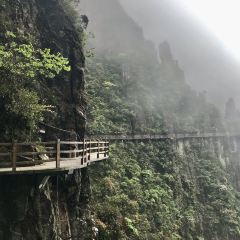 莽山天台山美食 User Photo