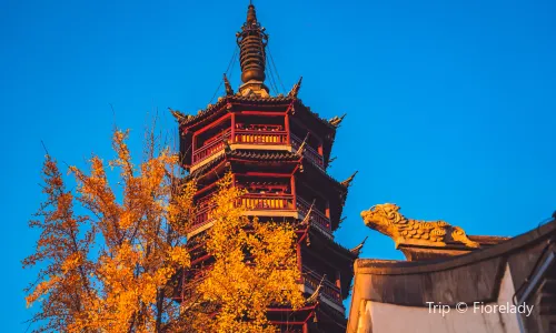 Wuxi Buddhist Culture Experience