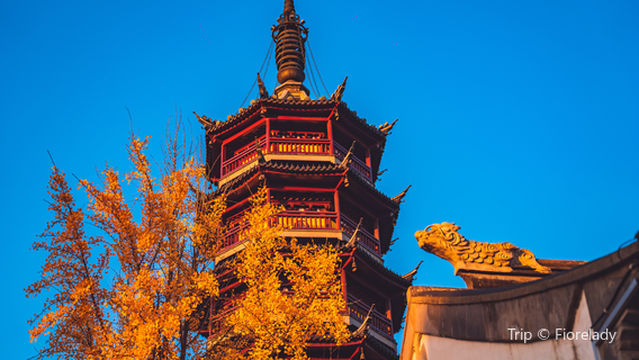 Wuxi Buddhist Culture Experience