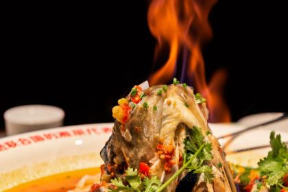 TAN ZONG DUO JIAO YU TOU