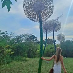 辛庄小海鲜 User Photo
