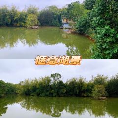 湖景农庄 User Photo