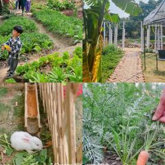 源记全竹宴 User Photo
