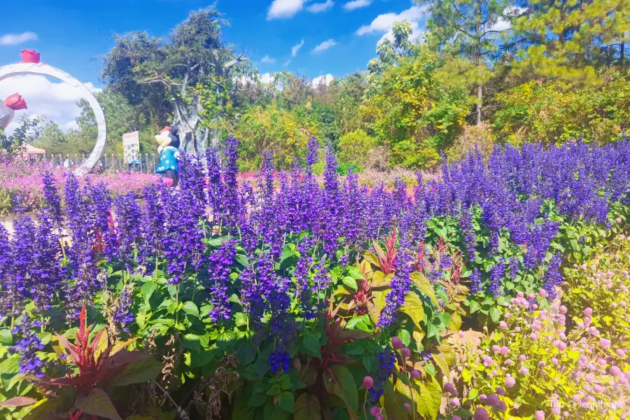 Yongzhou Forest Botanical Garden