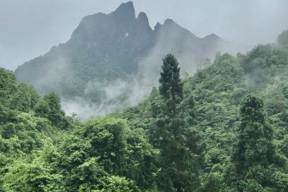 莽山天台山美食