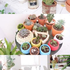 OK.Garden User Photo