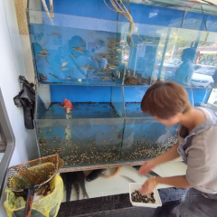 老肖鱼头馆(焦滩总店) User Photo