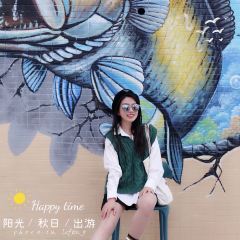 山海湾渔港 User Photo