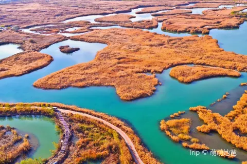 Zhangye National Wetland Park